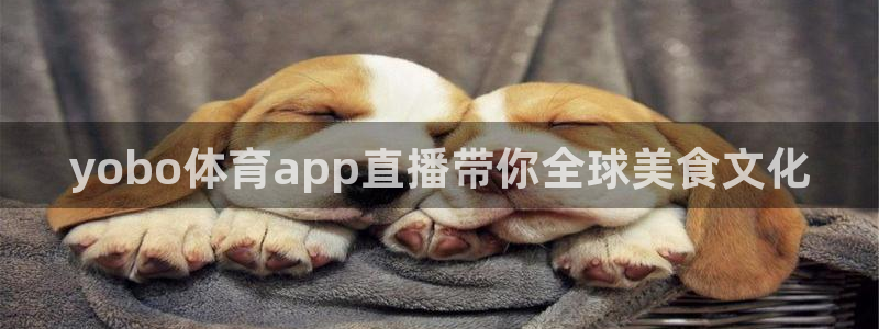 yobo体育app直播带你全球美食文化