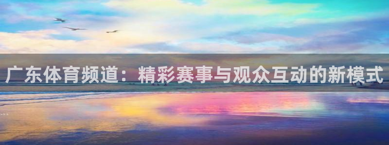 广东体育频道：精彩赛事与观众互动的新模式