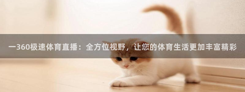 一360极速体育直播：全方位视野，让您的体育生活更加丰富精彩